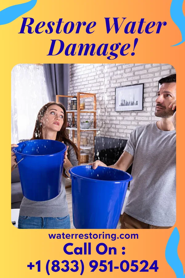 water restoration Apex Drying Solutions Pound