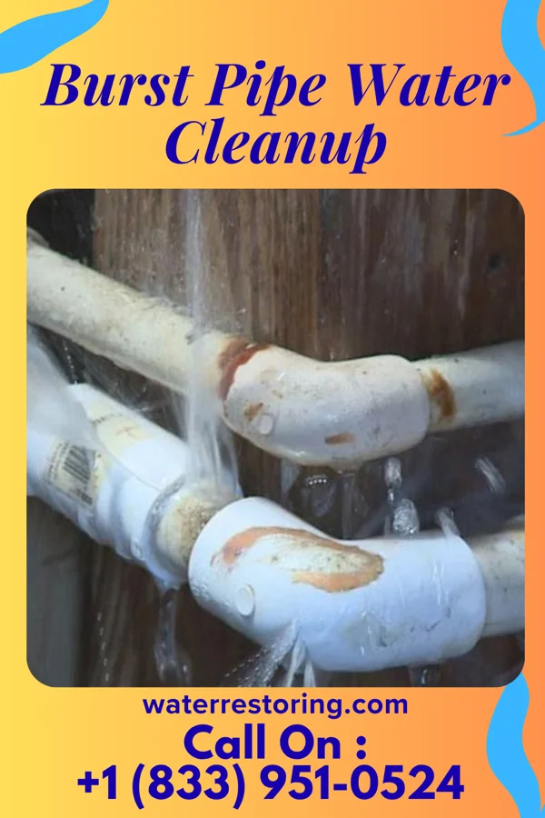 Burst Pipe Water Cleanup in Pound, WI