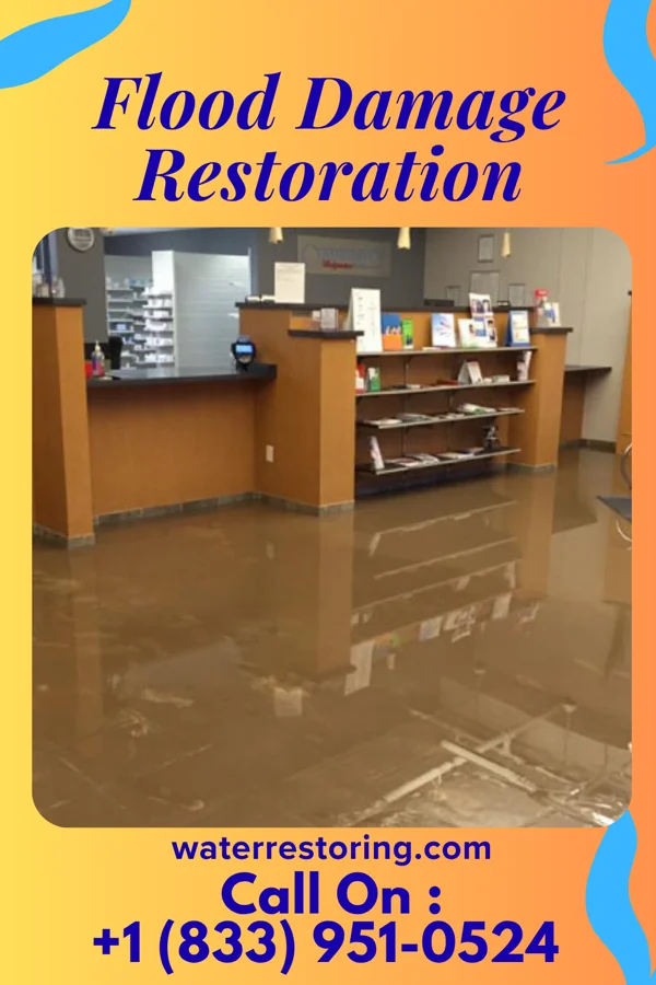 Flood Damage Restoration in Pound, WI