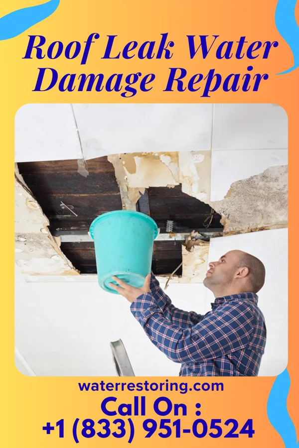 Roof Leak Water Damage Repair in Pound, WI