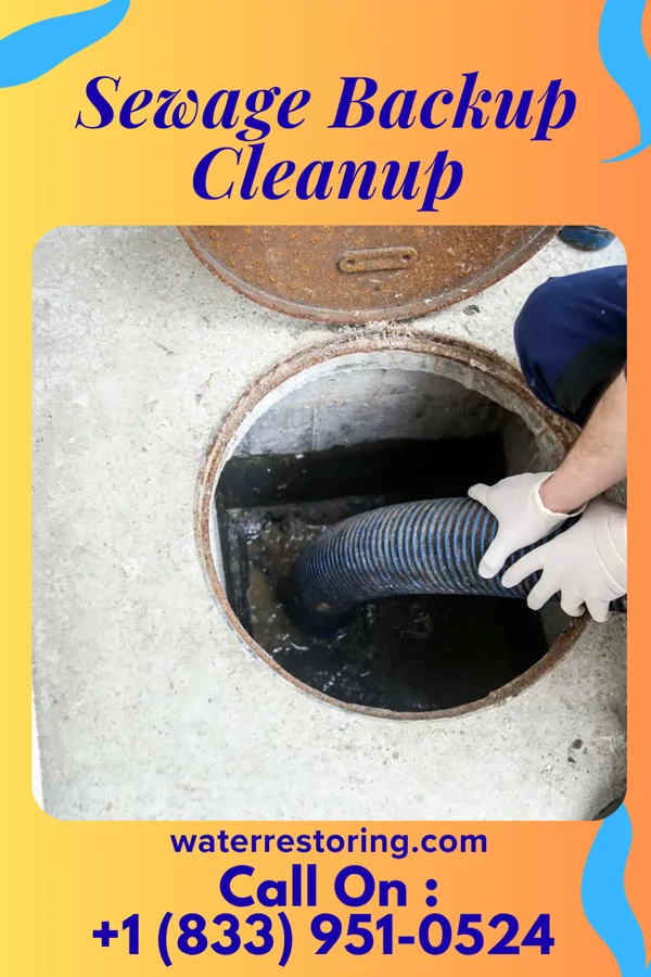 Sewage Backup Cleanup in Pound, WI