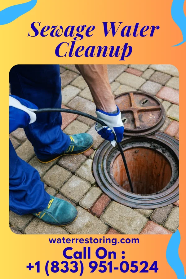 Sewage Water Cleanup in Pound, WI